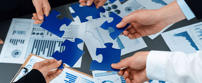 Mergers & Acquisitions Integration